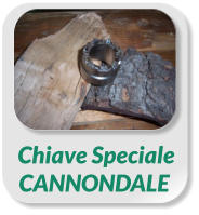 Chiave SpecialeCANNONDALE